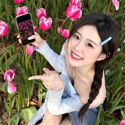 晴晚之林